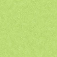 ttTWIRL-CD3890 LIME